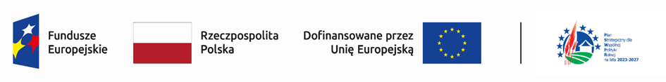 logotypy unijne - informacja o finansowaniu działań ze środków UE