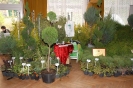 Festiwal kwiatów - Nakło nad Notecią 2008_8